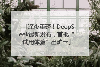 深夜重磅！DeepSeek最新发布，首批“试用体验”出炉→