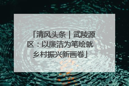 清风头条｜武陵源区：以廉洁为笔绘就乡村振兴新画卷