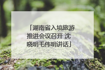湖南省入境旅游推进会议召开 沈晓明毛伟明讲话