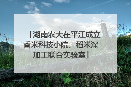 湖南农大在平江成立香米科技小院、稻米深加工联合实验室