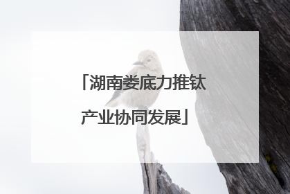湖南娄底力推钛产业协同发展