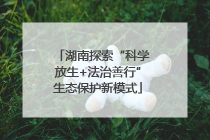 湖南探索“科学放生+法治善行”生态保护新模式