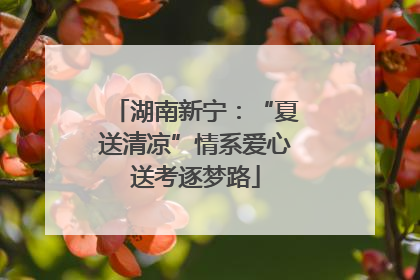 湖南新宁：“夏送清凉”情系爱心送考逐梦路