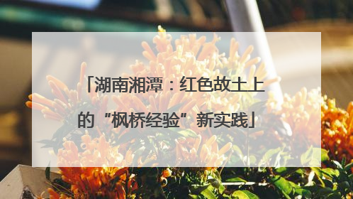 湖南湘潭：红色故土上的“枫桥经验”新实践