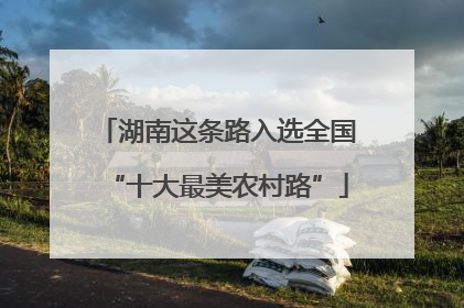 湖南这条路入选全国“十大最美农村路”
