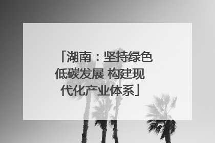 湖南：坚持绿色低碳发展 构建现代化产业体系