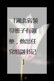 湖北省领导班子有调整，他出任党组副书记