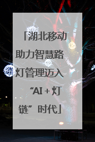湖北移动助力智慧路灯管理迈入“AI＋灯链”时代