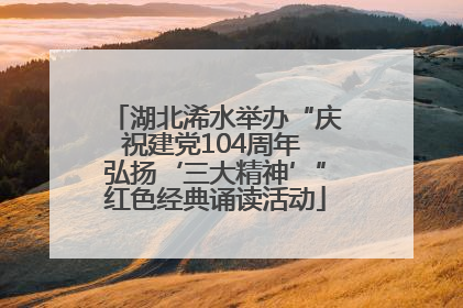 湖北浠水举办“庆祝建党104周年 弘扬‘三大精神’”红色经典诵读活动