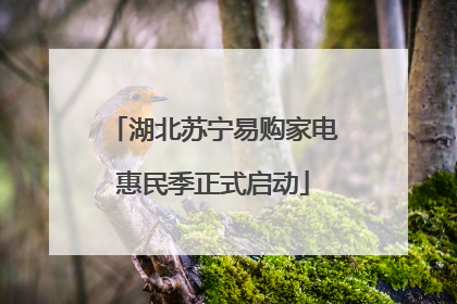 湖北苏宁易购家电惠民季正式启动