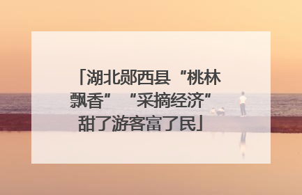 湖北郧西县“桃林飘香”“采摘经济”甜了游客富了民