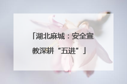 湖北麻城：安全宣教深耕“五进”