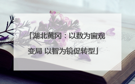 湖北黄冈：以数为窗观变局 以智为镜促转型