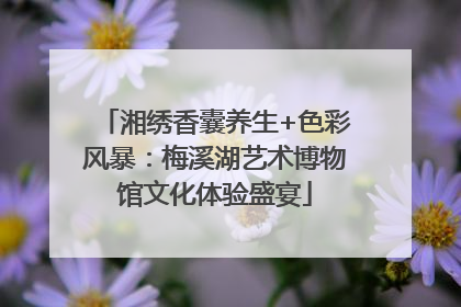 湘绣香囊养生+色彩风暴：梅溪湖艺术博物馆文化体验盛宴