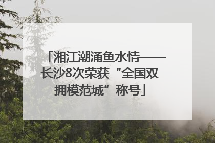 湘江潮涌鱼水情——长沙8次荣获“全国双拥模范城”称号