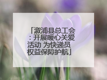 溆浦县总工会：开展暖心关爱活动 为快递员权益保障护航