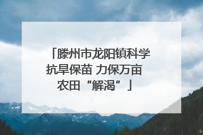 滕州市龙阳镇科学抗旱保苗 力保万亩农田“解渴”