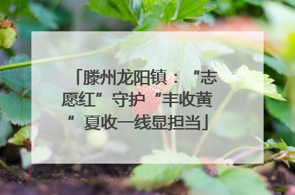 滕州龙阳镇：“志愿红”守护“丰收黄”夏收一线显担当