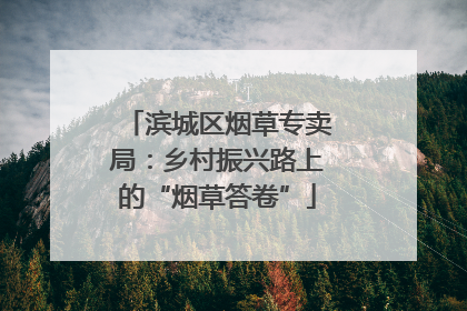 滨城区烟草专卖局：乡村振兴路上的“烟草答卷”