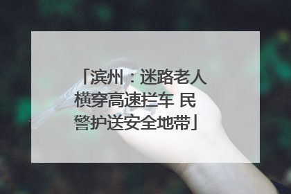 滨州：迷路老人横穿高速拦车 民警护送安全地带