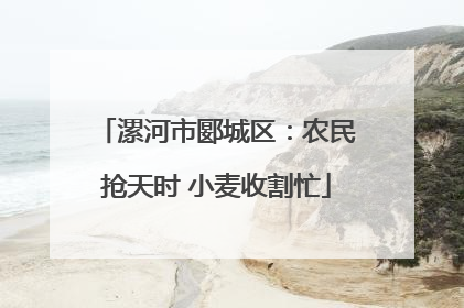 漯河市郾城区：农民抢天时 小麦收割忙