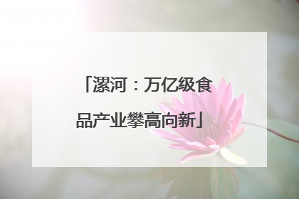 漯河：万亿级食品产业攀高向新