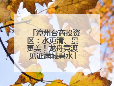 漳州台商投资区：水更清、景更美！龙舟竞渡见证满城碧水