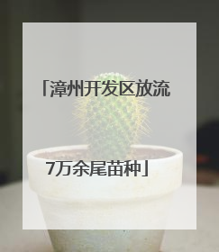 漳州开发区放流7万余尾苗种