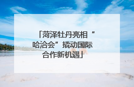 菏泽牡丹亮相“哈洽会”撬动国际合作新机遇