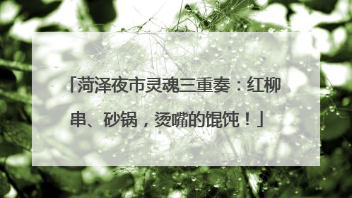 菏泽夜市灵魂三重奏：红柳串、砂锅，烫嘴的馄饨！