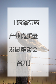 菏泽芍药产业高质量发展座谈会召开