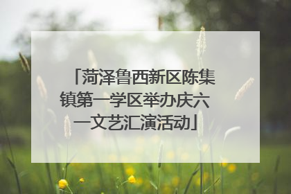 菏泽鲁西新区陈集镇第一学区举办庆六一文艺汇演活动