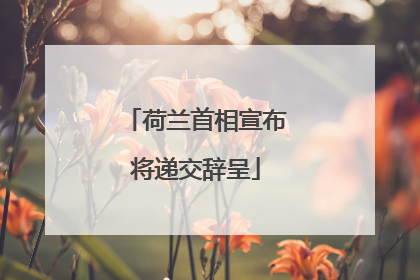 荷兰首相宣布将递交辞呈