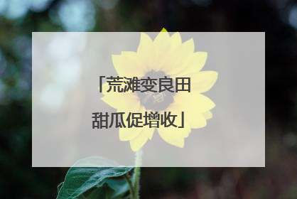 荒滩变良田 甜瓜促增收