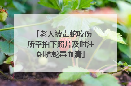 老人被毒蛇咬伤 所幸拍下照片及时注射抗蛇毒血清