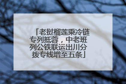 老挝榴莲乘冷链专列抵蓉，中老班列公铁联运出川分拨专线增至五条
