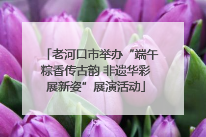 老河口市举办“端午粽香传古韵 非遗华彩展新姿”展演活动
