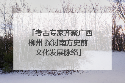 考古专家齐聚广西柳州 探讨南方史前文化发展脉络