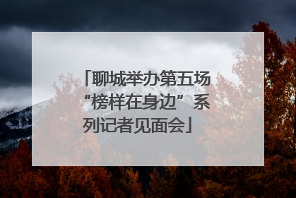 聊城举办第五场“榜样在身边”系列记者见面会