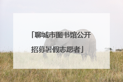 聊城市图书馆公开招募暑假志愿者
