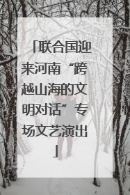 联合国迎来河南“跨越山海的文明对话”专场文艺演出
