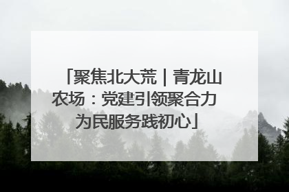 聚焦北大荒｜青龙山农场：党建引领聚合力 为民服务践初心