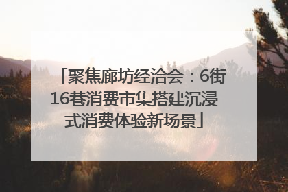 聚焦廊坊经洽会：6街16巷消费市集搭建沉浸式消费体验新场景