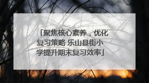 聚焦核心素养，优化复习策略 乐山县街小学提升期末复习效率