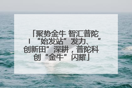 聚势金牛 智汇普陀〡“始发站”发力、“创新田”深耕，普陀科创“金牛”闪耀