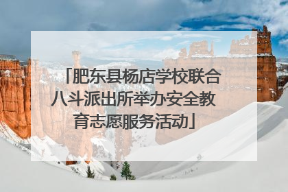 肥东县杨店学校联合八斗派出所举办安全教育志愿服务活动
