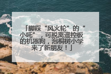 脚踩“风火轮”的“小吒”，可脱离遥控板的机器狗，泡桐树小学来了新朋友！