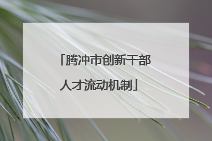 腾冲市创新干部人才流动机制