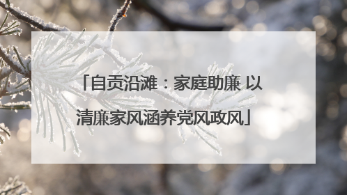 自贡沿滩：家庭助廉 以清廉家风涵养党风政风