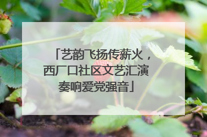 艺韵飞扬传薪火，西厂口社区文艺汇演奏响爱党强音